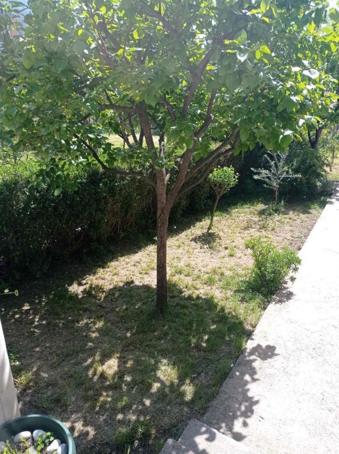 Apartment Ivan Kotor Buitenkant foto